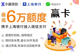 赢卡 新手怎么申请上海小赢电子信用卡图文全攻略必下卡