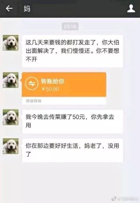 “妈传菜，差十万，日月潭，妹有钱”网络四大破防图片