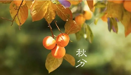 qiufen.jpg 秋分时节 小白分享