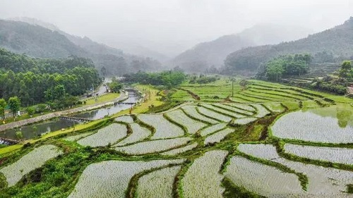 晚秋时节逢甘雨