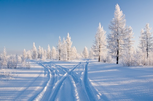 xue.jpg 牵念家乡的雪飘 小白分享