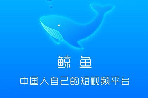 鲸鱼短视频挣钱是真的吗？卧底已经把真相扒出来了 网络资讯 第1张