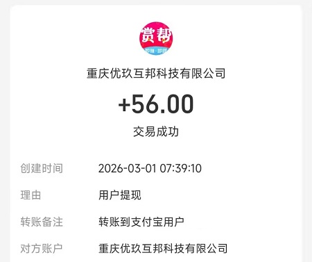 2026年网络或手机上挣钱的项目有哪些？推荐悬赏任务平台 手机赚钱 第6张